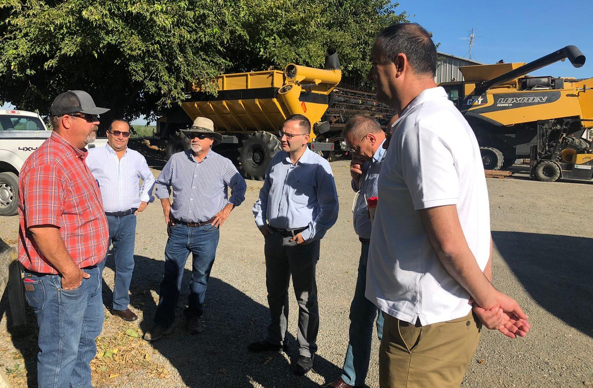 Group of men stand talking near large yellow combines