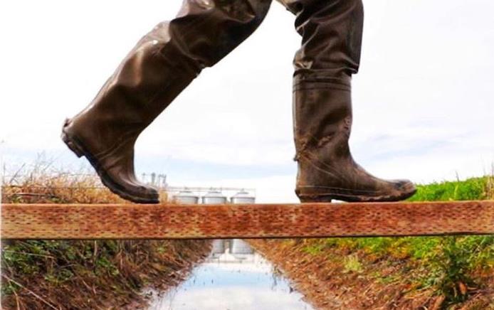 Boots on bridge between rice fields, dryers in background