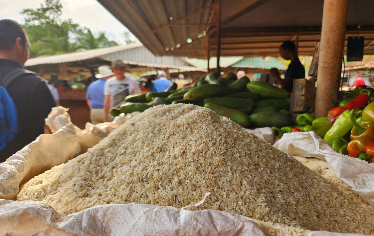 Bulk-rice-at-Cuba-farmers-market