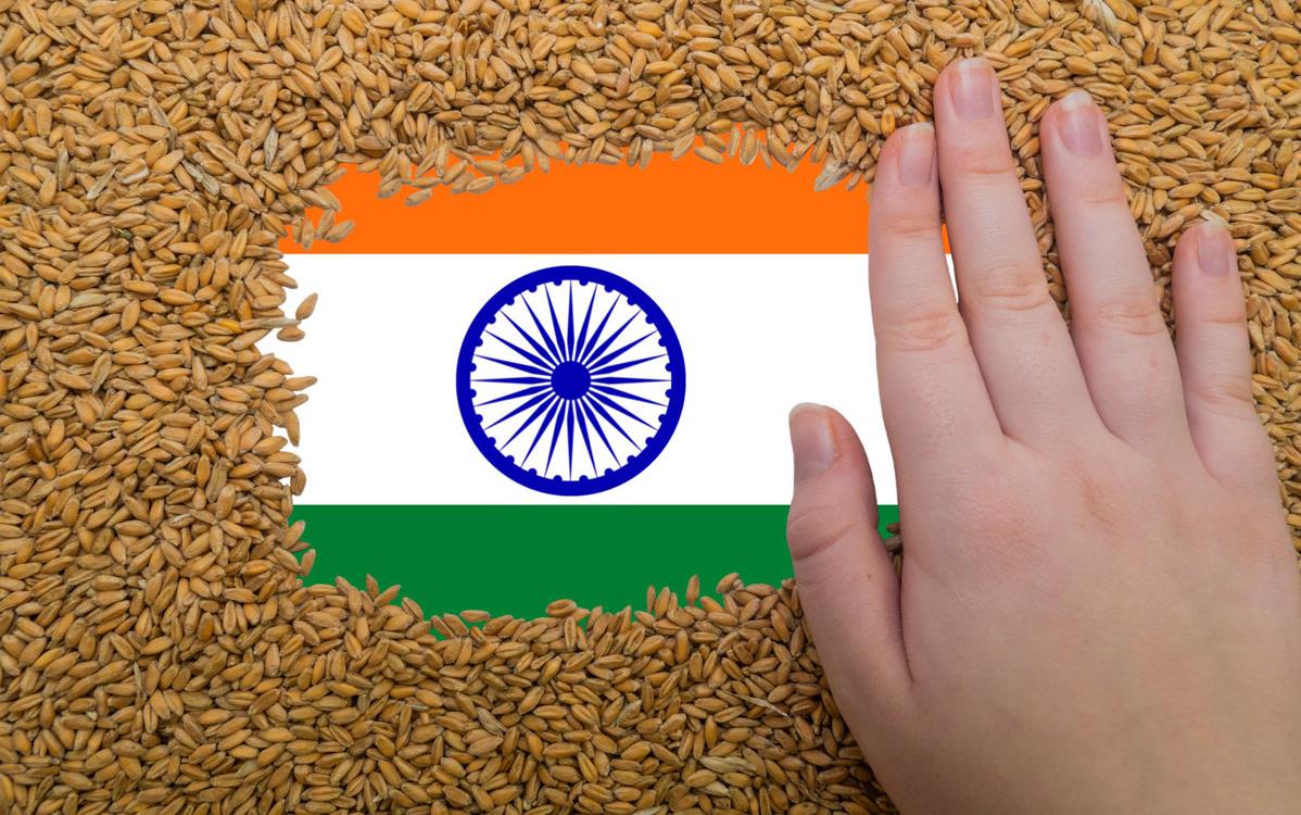 Hand-swipes-brown rice-to-expose-India-flag