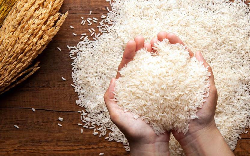 Hands-holding-white-rice-&-rice-stalks-on-side
