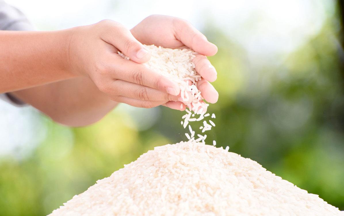 Hands-sifting-white-rice