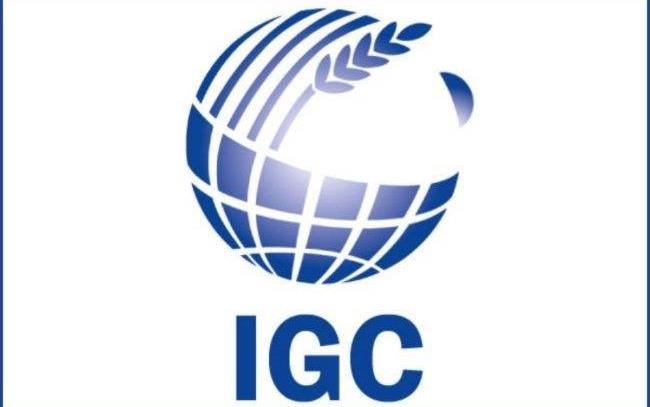 IGC logo