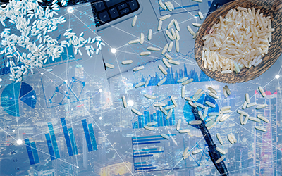 May 2026 WMP Mtg graphic shows rice grains on top of drawings of constellations on top a desk strewn with charts and a pen on top of an image of a city at night