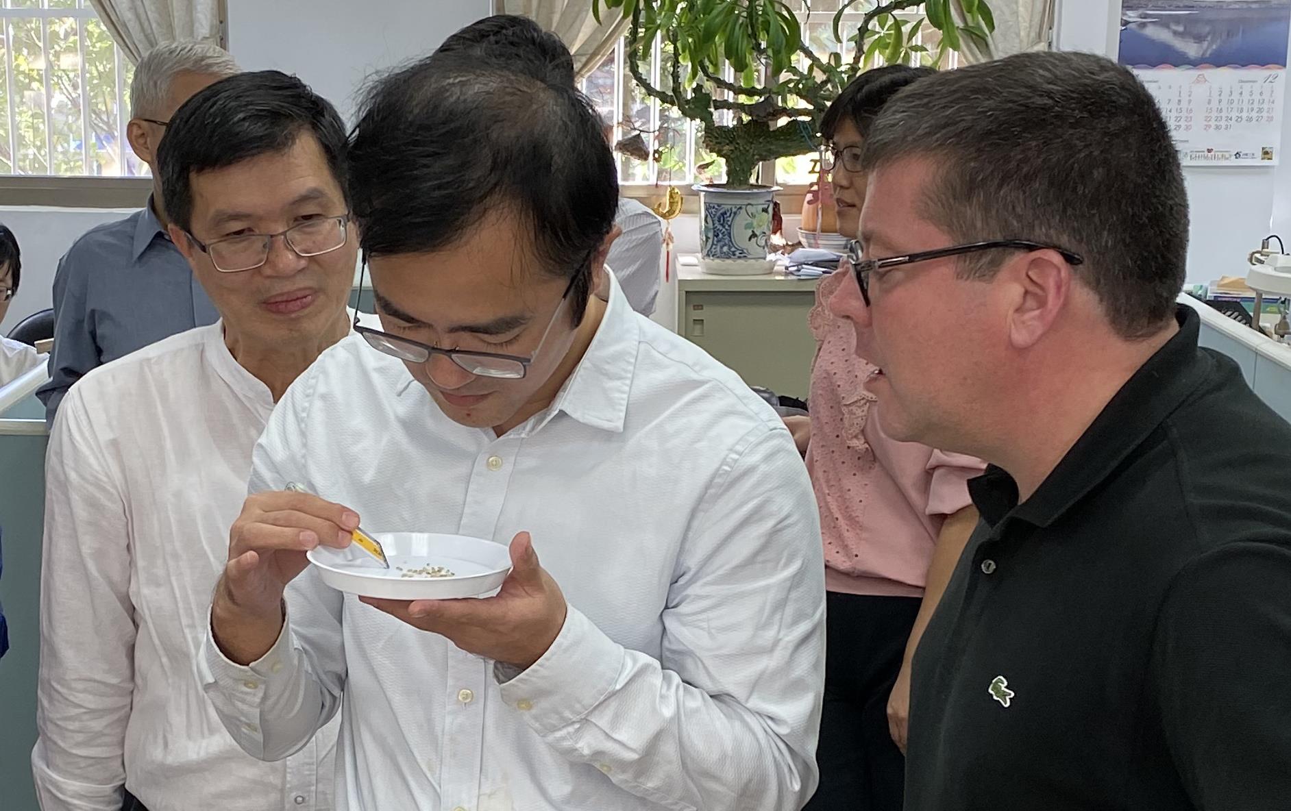 Asian men and one white man stand in front of table with rice samples and calculators, looking at rice grains in small white plate 