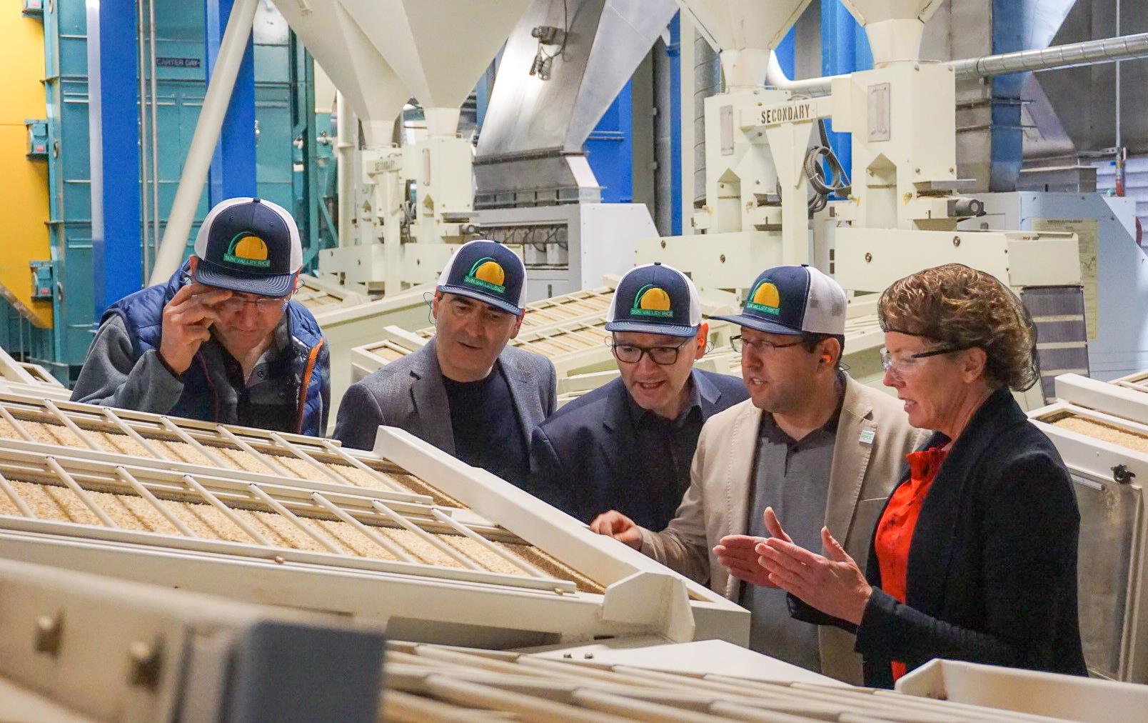Four men wearing ballcaps listen to woman explaining rice sorter during mill tour, Sun Valley Rice CA