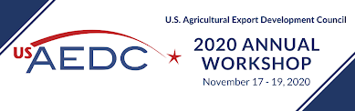 USAEDC 2020 Annual Workshop logo