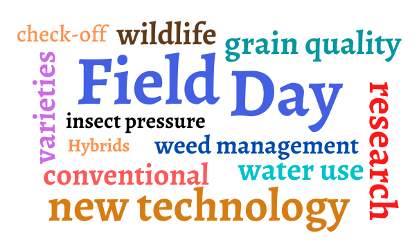 Field-Day-Word-Cloud