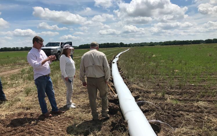 People stand next to polypipe watering rice field