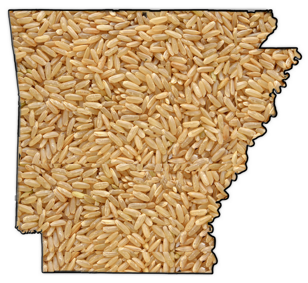 Arkansas Rice Research and Promotion Board Renews Support for USA Rice