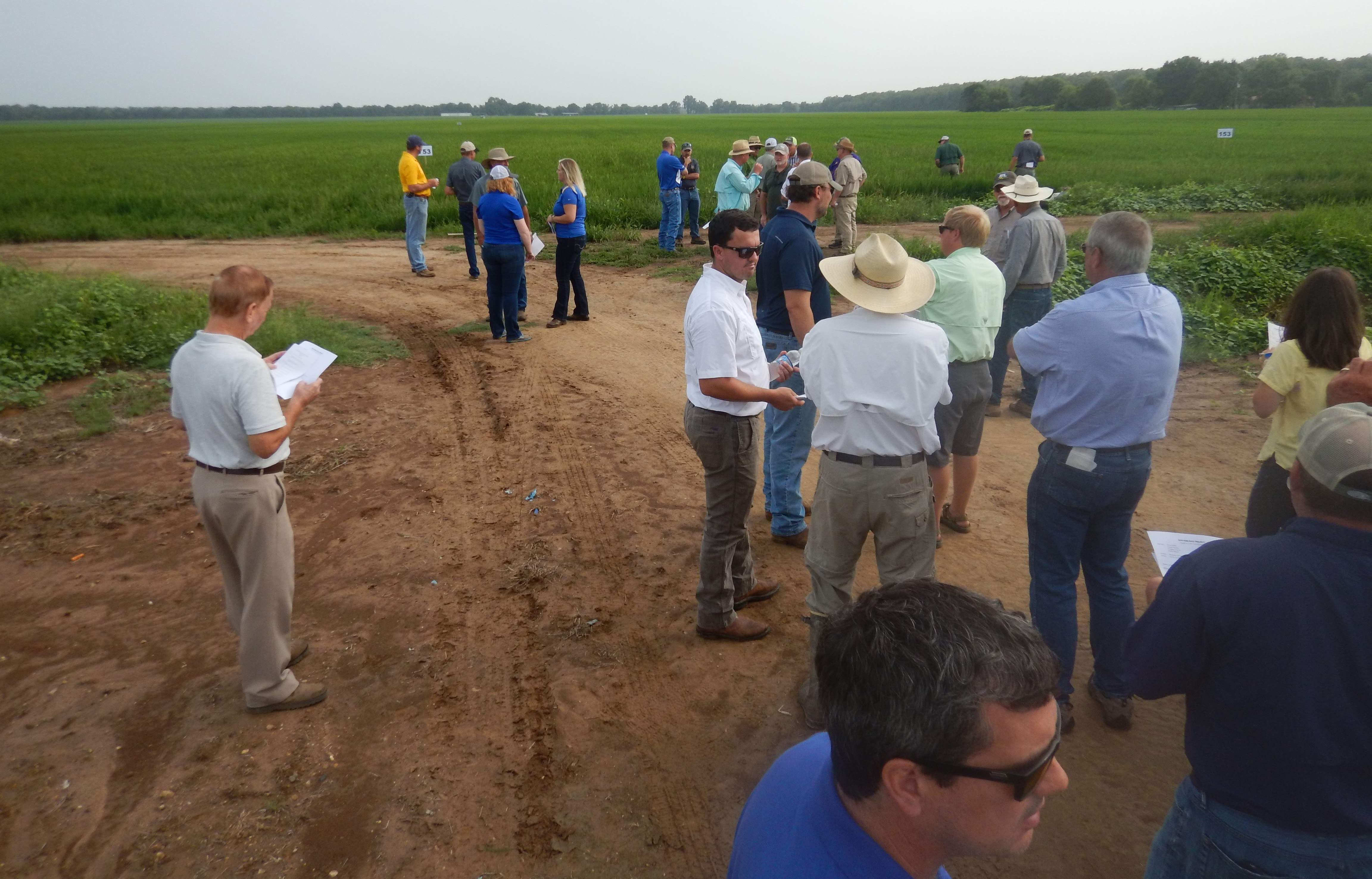 Row, Row, Row Your Rice USA Rice Federation