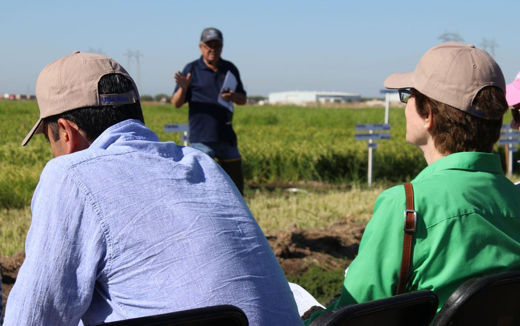 2022-CA-Field-Day,-researcher-&-audience in front of rice field