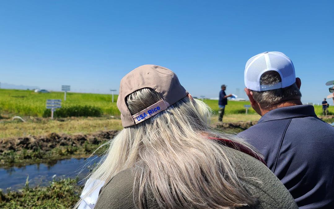 2022-CA-Field-Day, back view of two people wearing USA-Rice hats listening to researcher standing in rice field giving a report