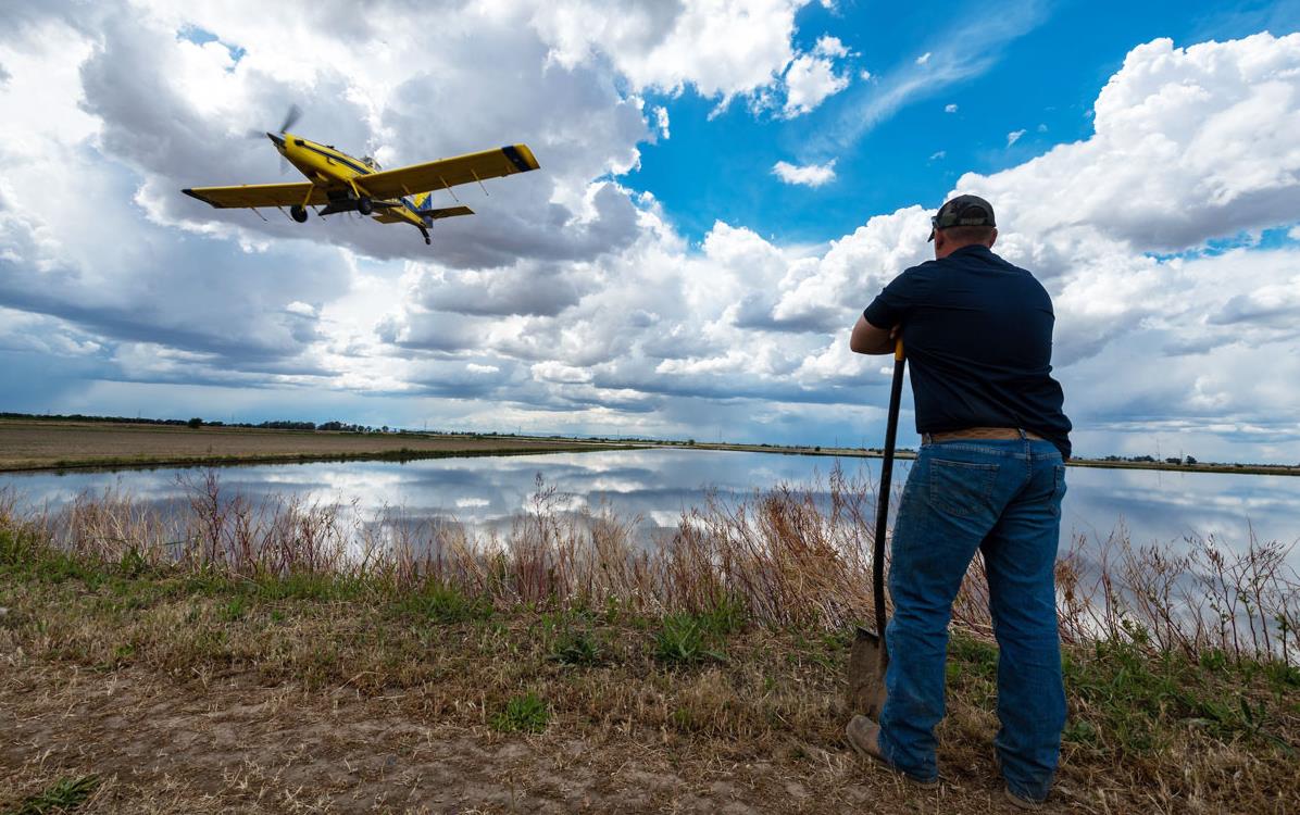 Aerial planting in CA, Brian Baer photo