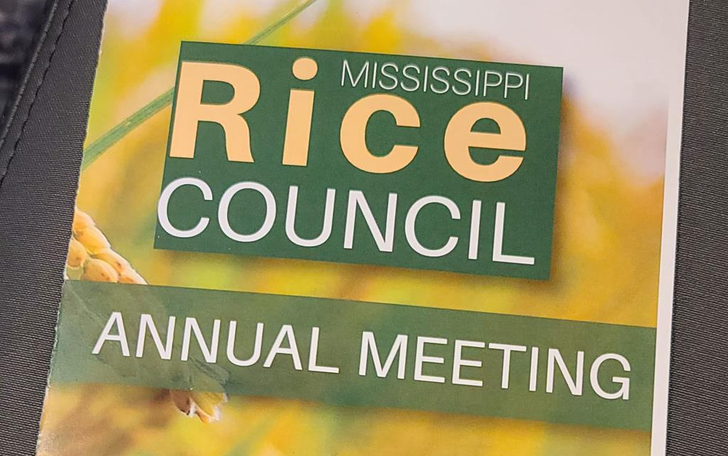 2024-MS-Rice-Council-Mtg-brochure