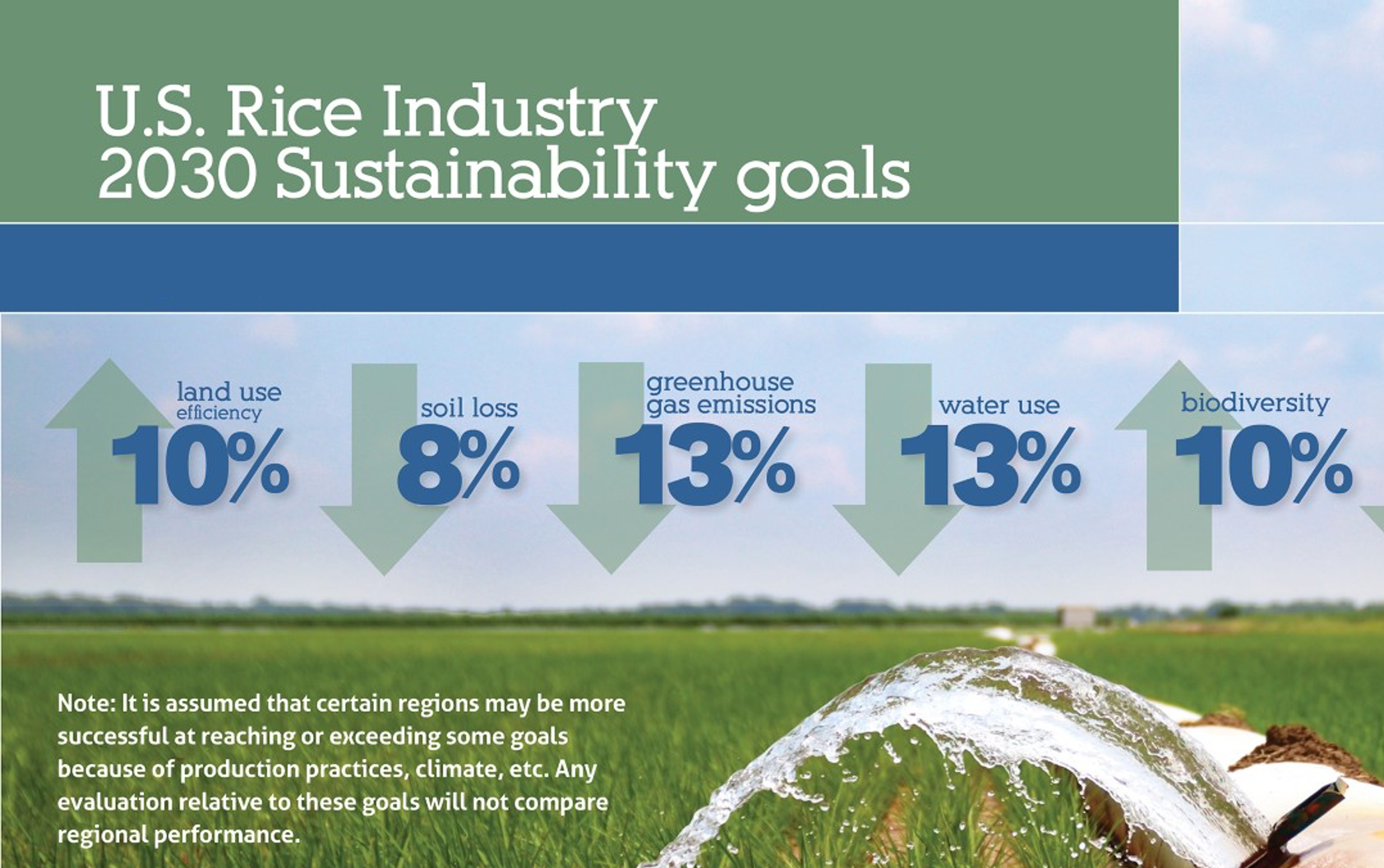 Sustainability graphic with 2030 rice industry goals shows water flowing from polypipe onto green rice field