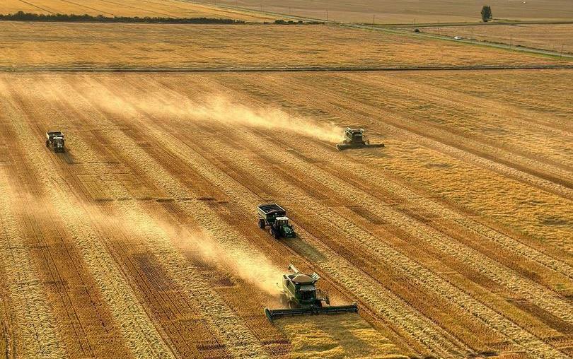 Aerial-view-of-harvest shows several combines & grain trucks working in golden field, Ryan-Sullivan-photo