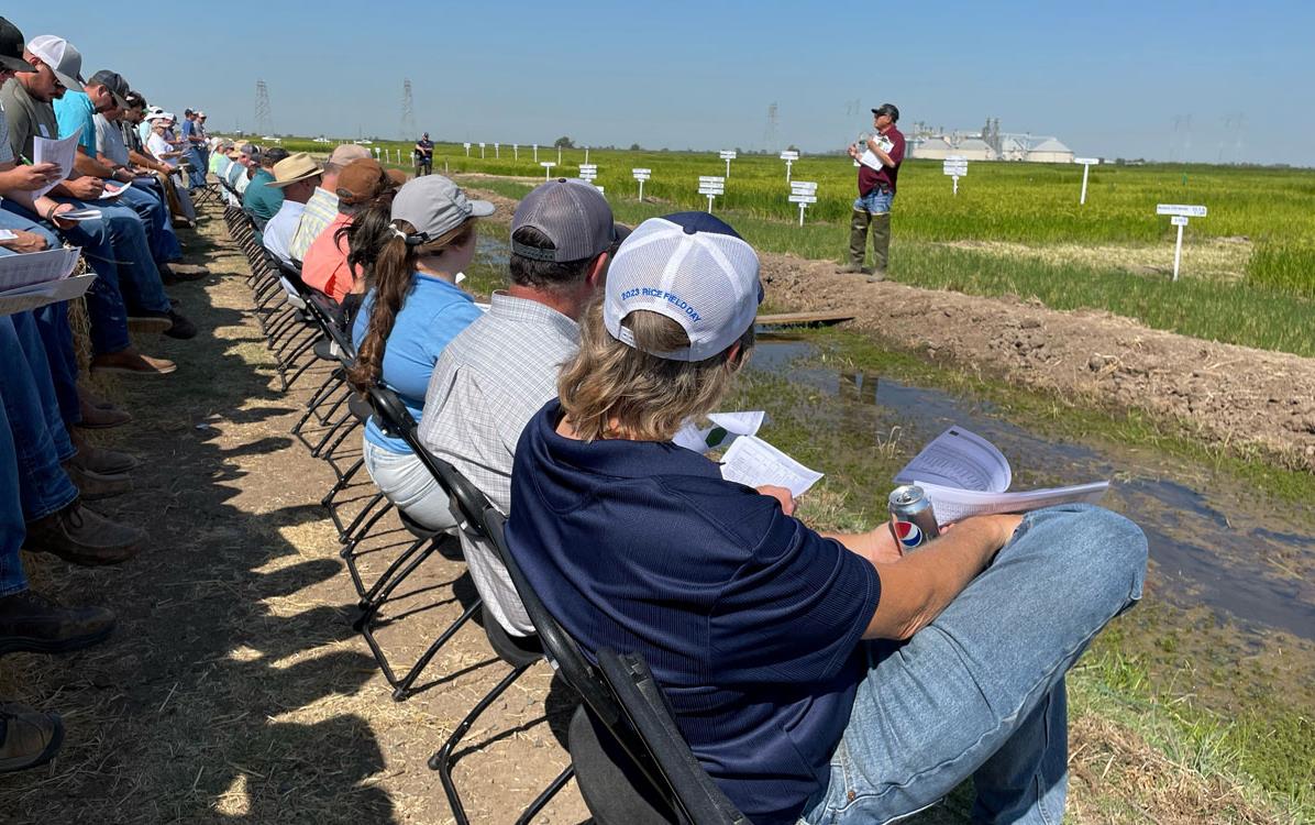 CA-Field-Day,-spectators-at-research-plots, grain bins in background