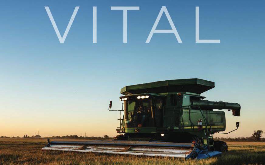 CA-Annual-Rpt-Cover. text "Vital" above combine cutting mature rice field