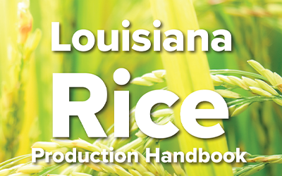 LA Rice Production Handbook CVR, white block text over photo of maturing rice plant