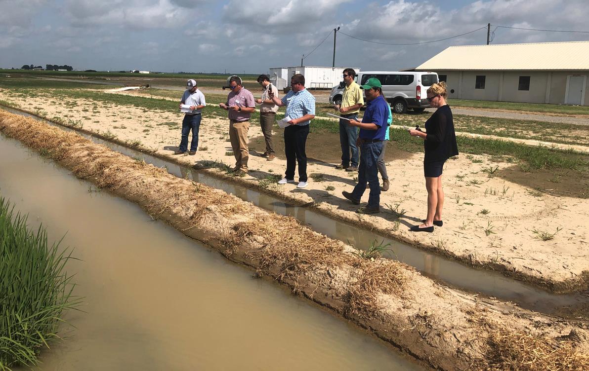 Group of people stand near irrigation canals, blustery clouds in background