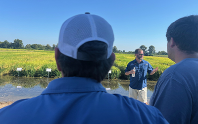 MO Field Day, researchers gathered near rice plots