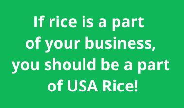 Rice Business graphic