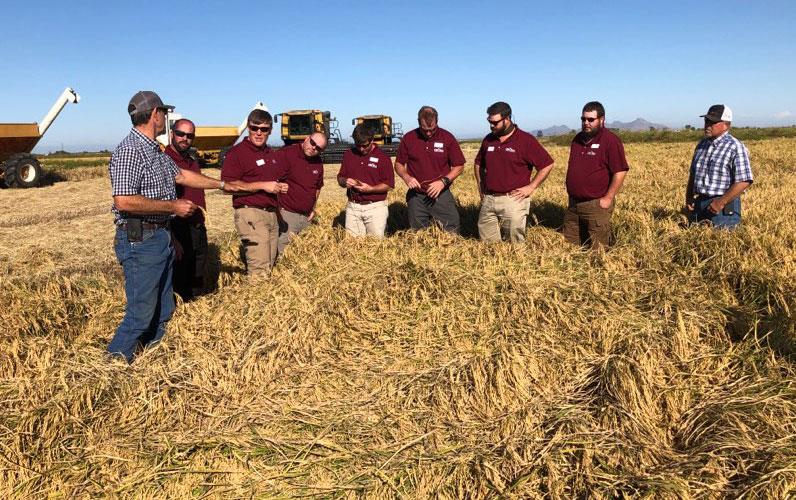 Rice-Ldrshp Class tours LaGrande-Farm in CA, group of men stand in mature rice field, harvesting equipment in background