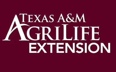 TAMU AgriLife Ext Logo, white text on maroon bkgd