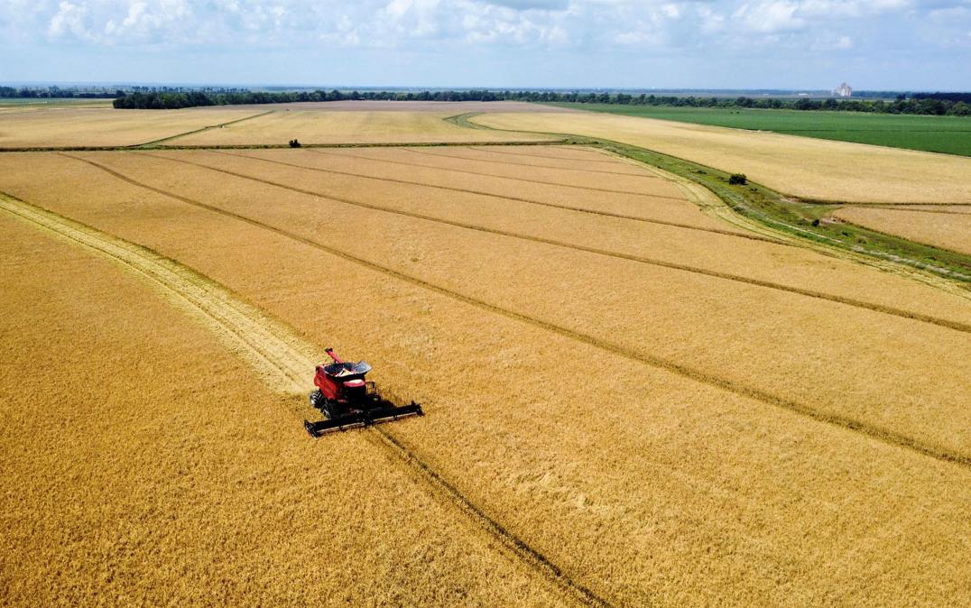Wide-angle,-aerial-view-of-harvest,-Baker-Morgan-photo