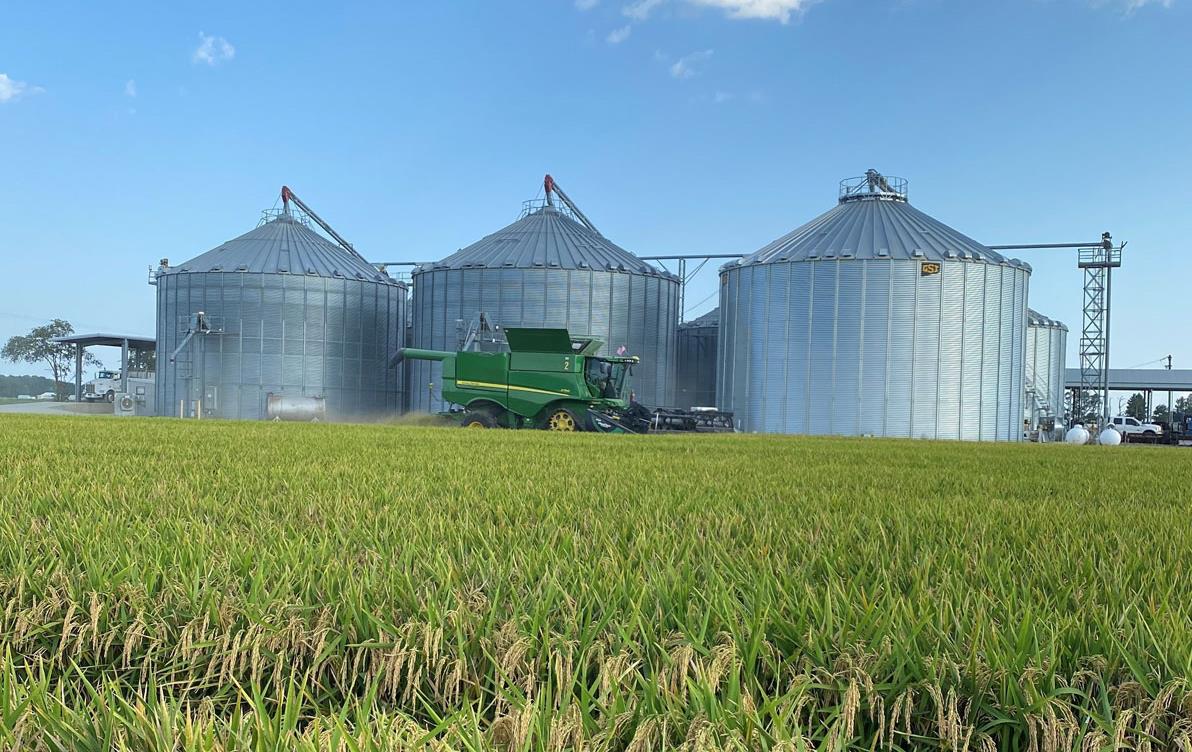 2023-Harvest at Richard-Farm, combine parked in front of grain bins, mature rice field in foreground