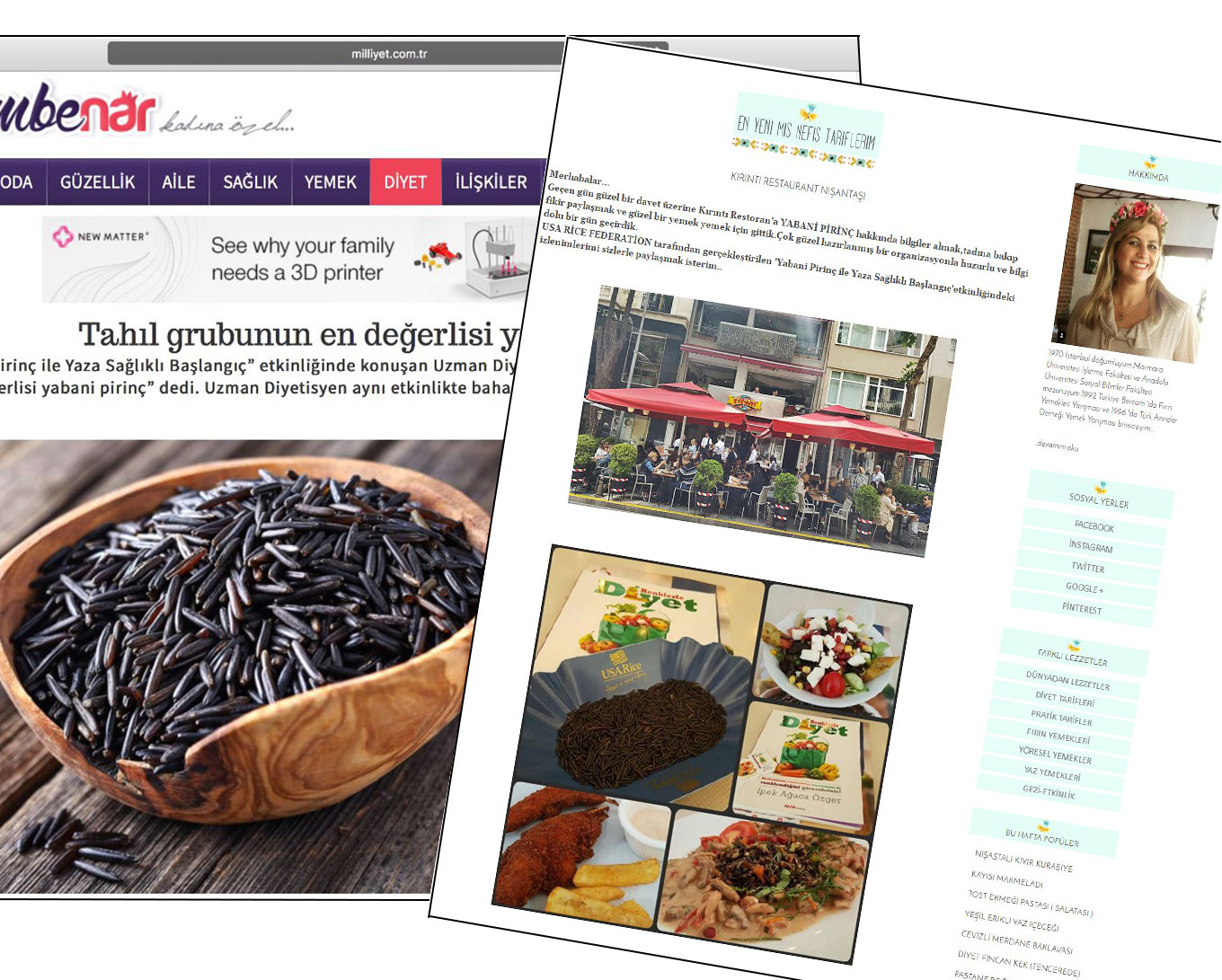 Wild Rice Turkey Blogs screenshots