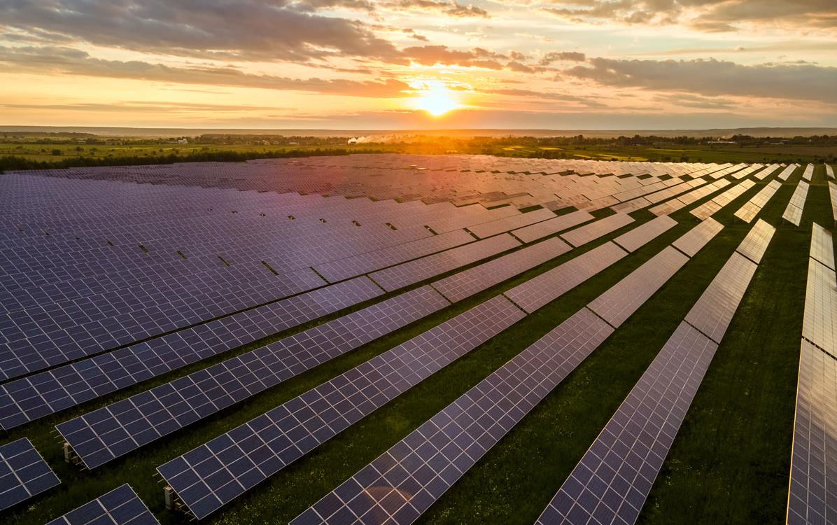 Vast field of solar-panels-at-sunset