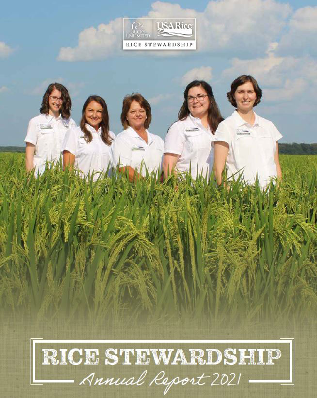 Rice Stewardship Partnership Secures $7.85M Project to Increase ...