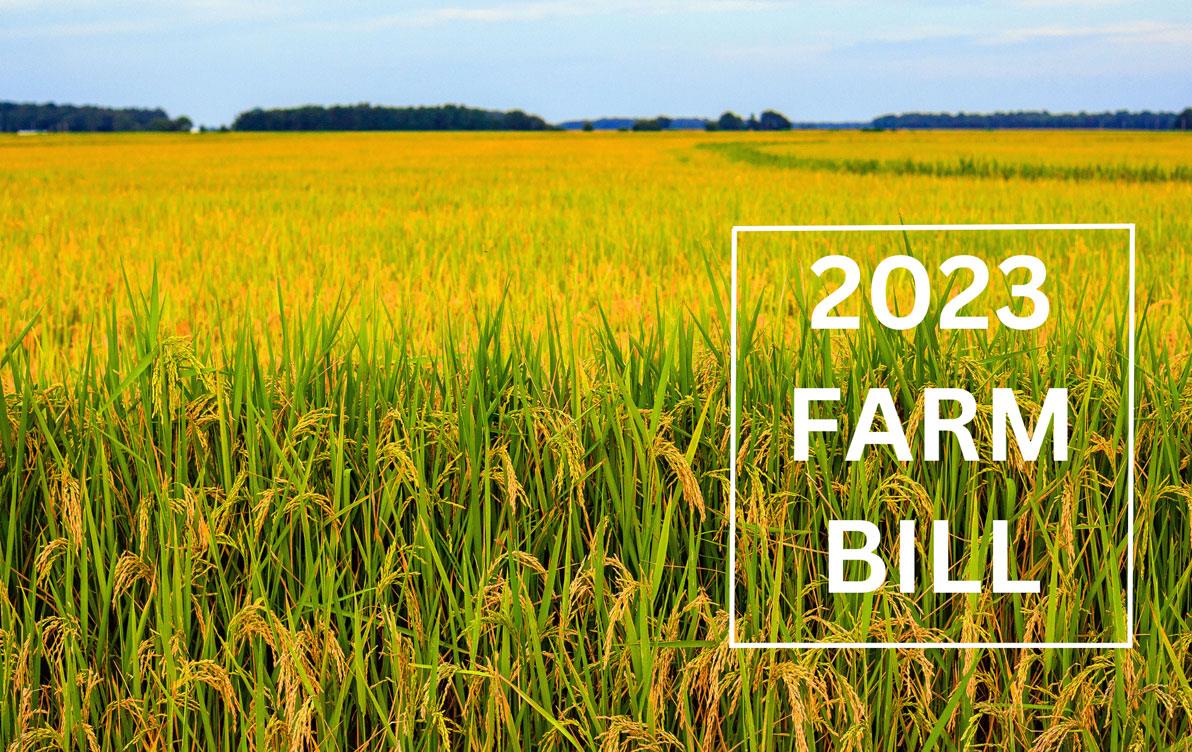 2023-Farm-Bill-text with rice field background