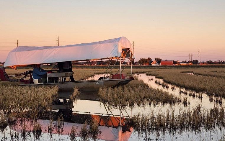 Crawfish boat in flooded rice field in Louisiana 