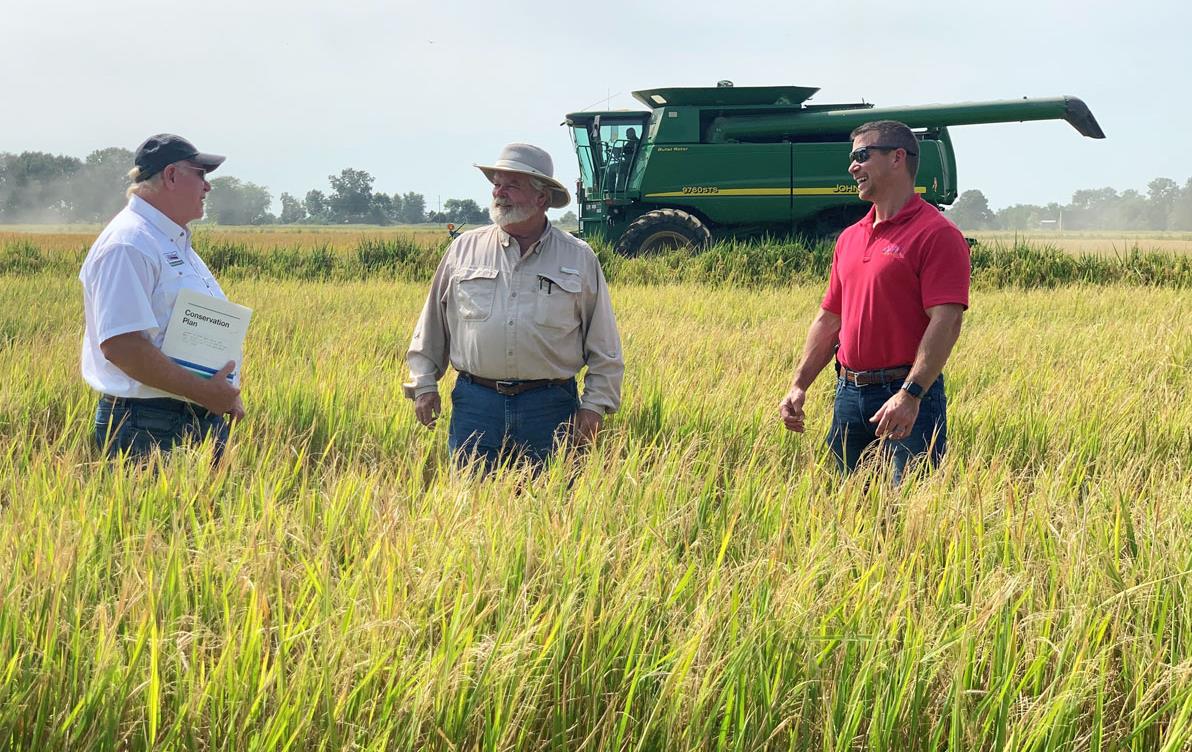 Three men stand in mature rice field in front of combine