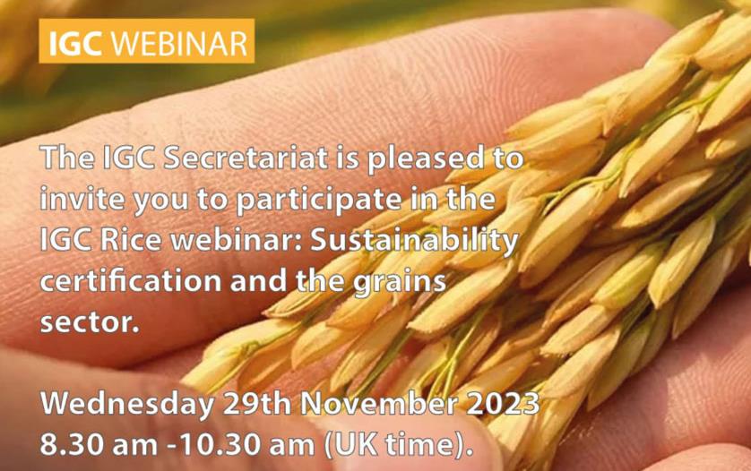 IGC-Webinar-Invite, text over close-up of hand holding mature rice pannicle