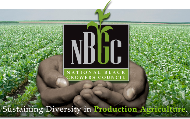NBGC Logo, black hands holding logo, lush green fields in background