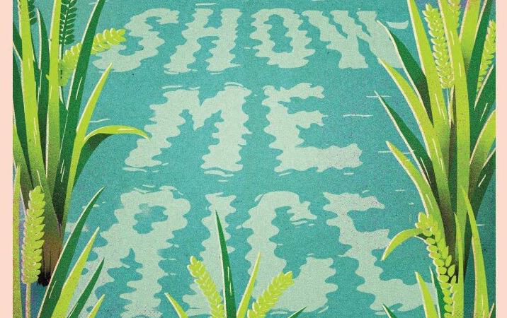 Show-Me-Rice-graphic, text in water surrounded by rice plants, artist Lehel Kovacs