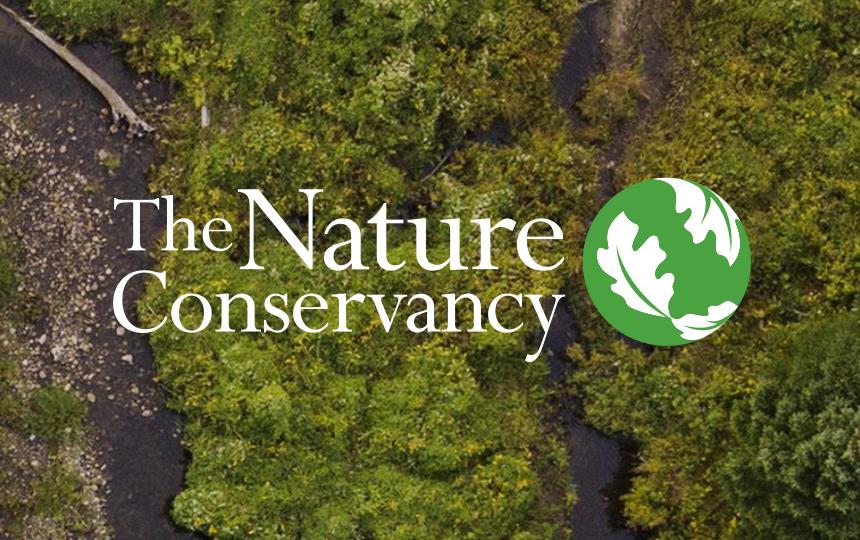 The Nature Conservancy logo & trees background