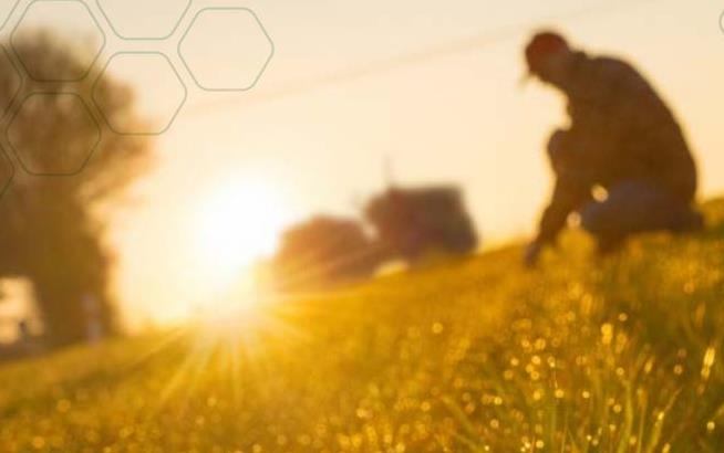 USDA HU Guide image shows silhouette of man kneeling to touch crop with tractor and trees in background