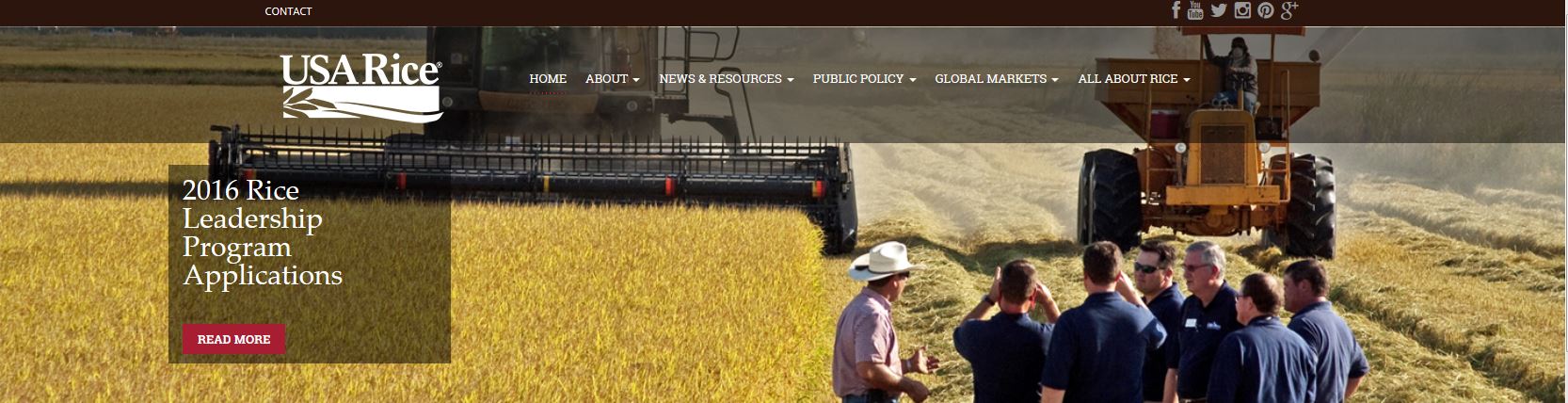 Banner from new USA Rice website