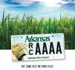 Arkansas License Plate