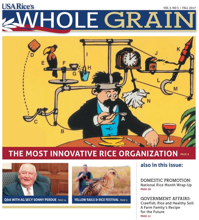 Fall 2017 Whole Grain Cover-featuring colorful Rube Goldberg cartoon on a yellow background