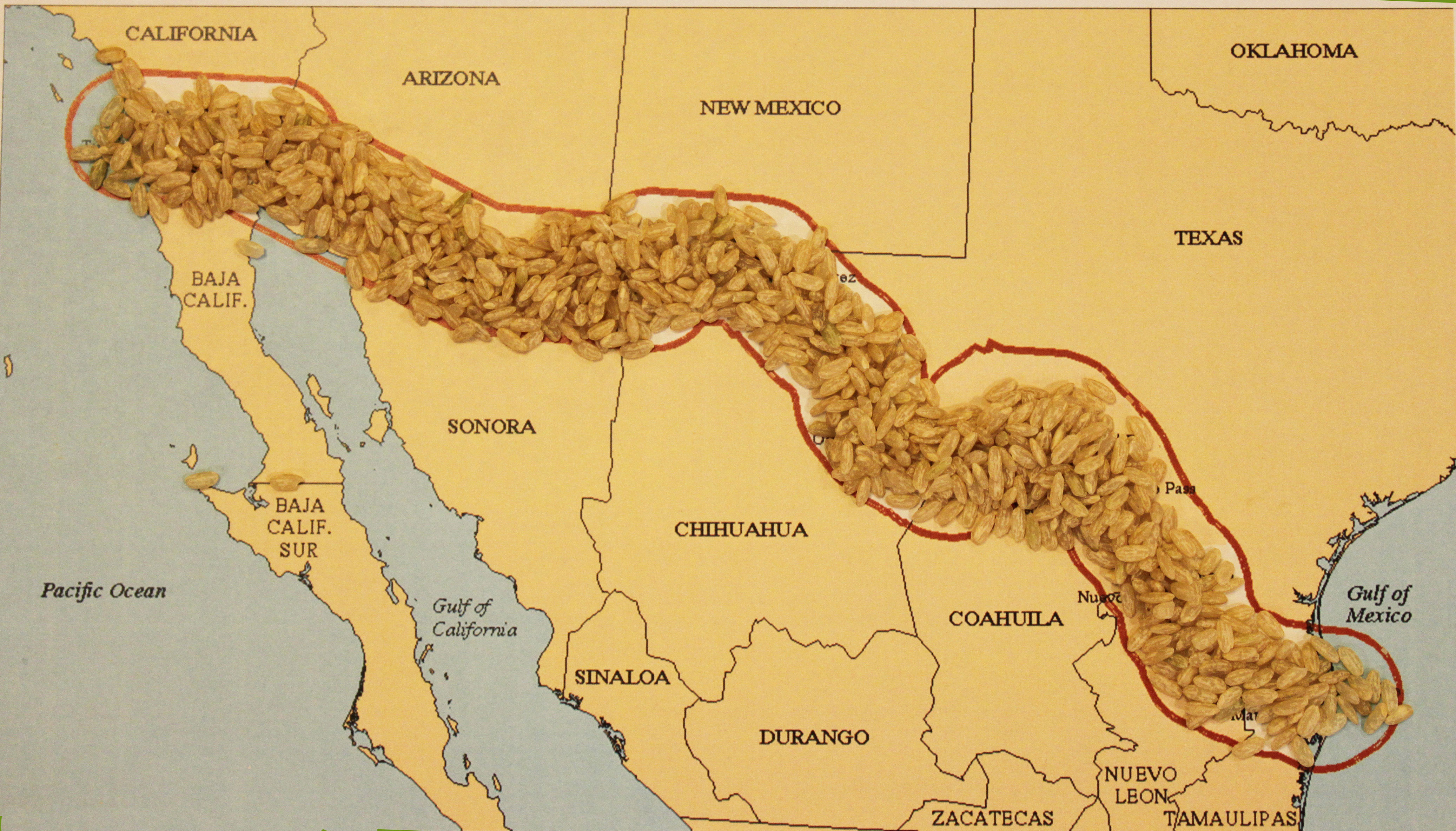 Illustration of proposed Trump-border wall made of rice