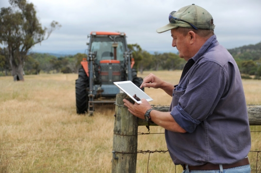 USDA Seeks Input from Growers about 2015 Crops