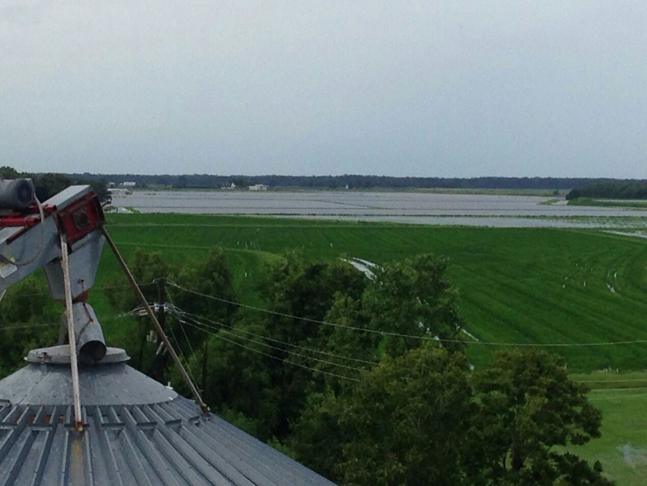 View from atop a grain bin overlooking 2016-LA-Flood,-Allen-McClain-farm