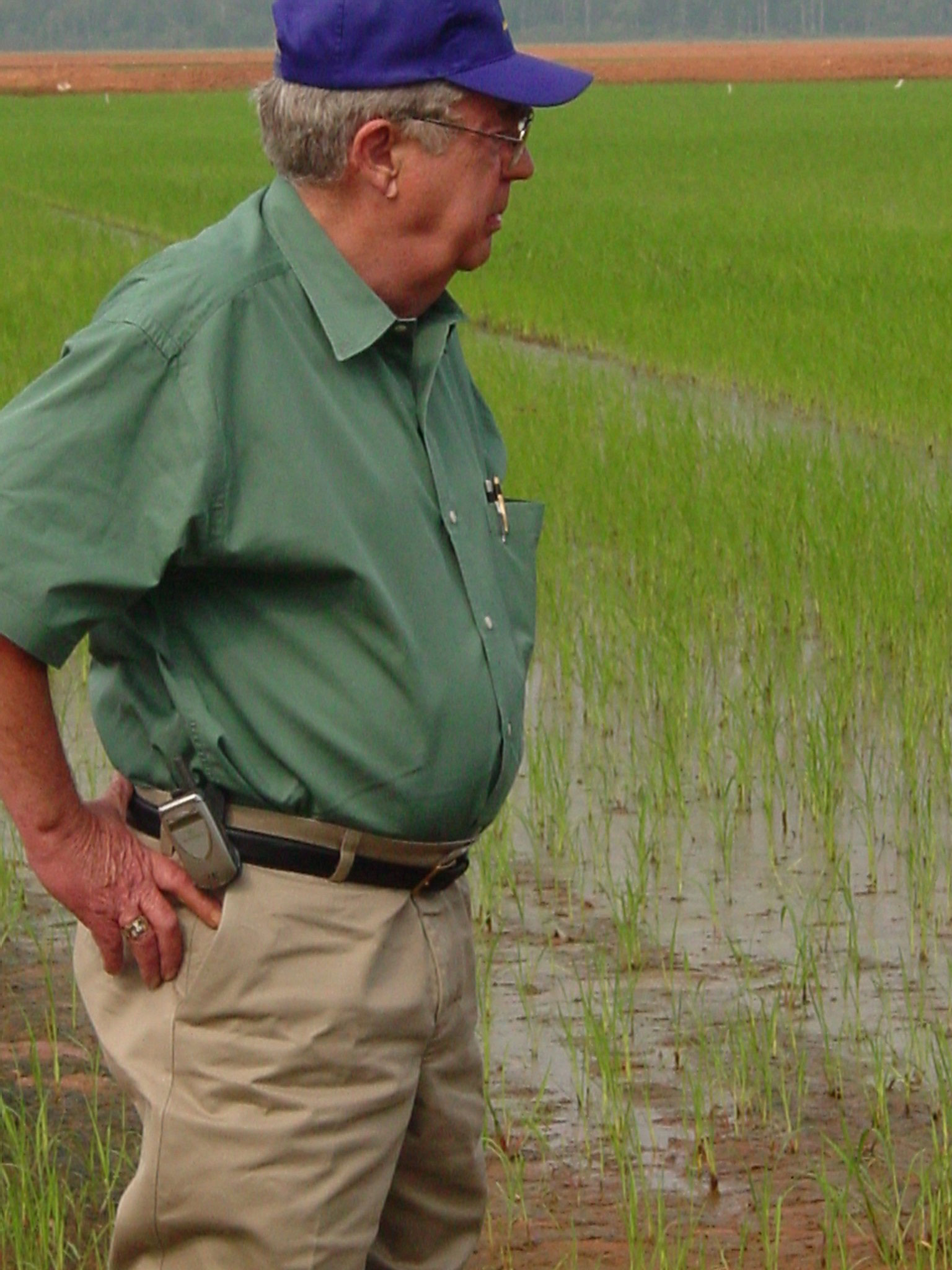 In-Memory-photo of Dr.-Joseph-Musick standing in a rice field