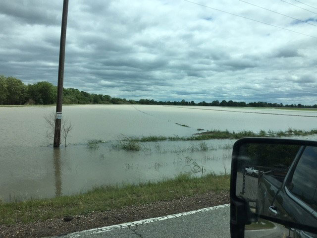 Photo of a flooded LA rice field taken from inside a pickup truck